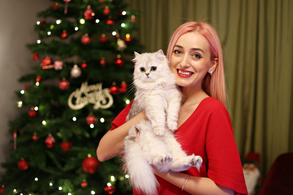 madalina_misu_blog_christmas (6)