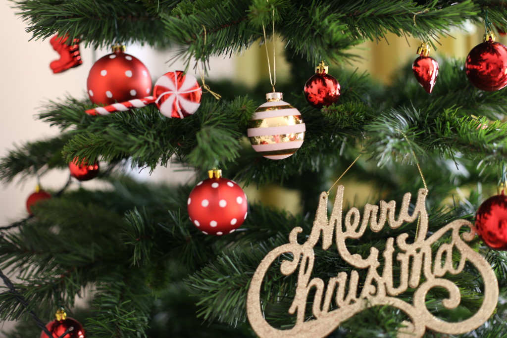 madalina_misu_blog_christmas (8)